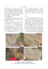 沉积与特提斯地质2025年6月第2期
