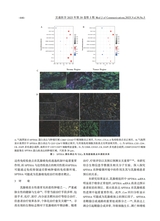 交通医学2025年10月第5期