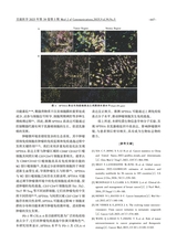 交通医学2025年10月第5期