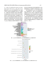 交通医学2025年10月第5期