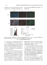 交通医学2025年10月第5期