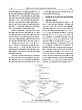 植物遗传资源学报2025年5月第5期