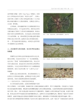 当代美术家2025年9月第5期