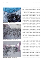 油画2023年9月第3期