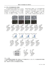中国医学科学院学报2025年8月第4期
