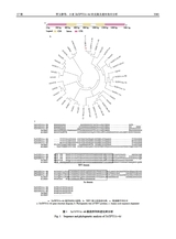 中国农业科学2025年9月第17期