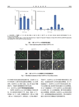 中国农业科学2025年9月第17期