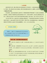 小学生作文·中高年级适用2025年5月第5期