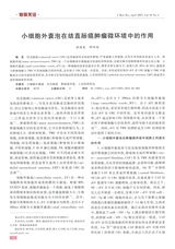 医学研究杂志（中文版）2025年4月第4期