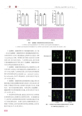 医学研究杂志（中文版）2025年4月第4期