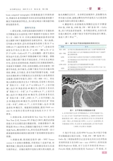 医学研究杂志（中文版）2025年4月第4期
