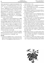 世界睡眠医学杂志2019年4月第4期