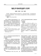 西北园艺·果树2025年4月第2期