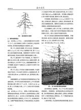 西北园艺·果树2025年4月第2期