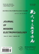 现代电生理学杂志2025年9月第3期