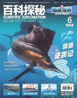 百科探秘·海底世界2025年6月第6期