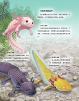 百科探秘·海底世界2025年10月第10期