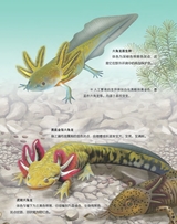 百科探秘·海底世界2025年10月第10期