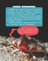 百科探秘·海底世界2025年10月第10期