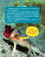 百科探秘·海底世界2025年10月第10期