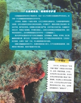 百科探秘·海底世界2025年10月第10期