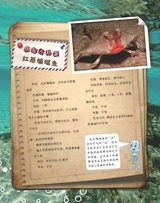 百科探秘·海底世界2025年10月第10期