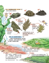 百科探秘·海底世界2025年10月第10期