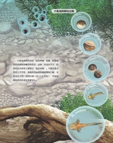 百科探秘·海底世界2025年10月第10期