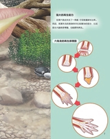 百科探秘·海底世界2025年10月第10期