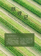 青岛画报2024年11月第11期