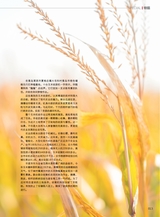 青岛画报2024年11月第11期