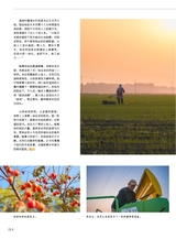 青岛画报2024年11月第11期