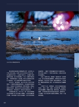 青岛画报2024年11月第11期