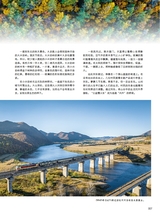 青岛画报2024年11月第11期
