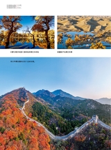 青岛画报2024年12月第12期