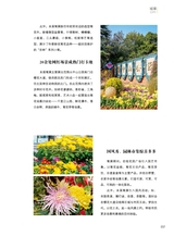 青岛画报2024年12月第12期