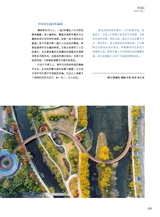 青岛画报2025年1月第1期