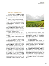 青岛画报2025年1月第1期