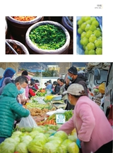 青岛画报2025年2月第2期