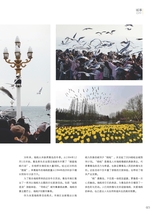 青岛画报2025年2月第2期