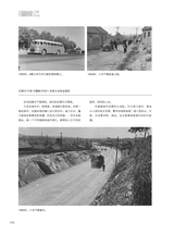 青岛画报2025年2月第2期