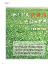 青岛画报2025年5月第5期