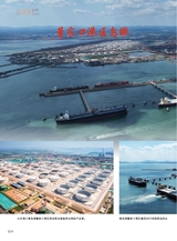青岛画报2025年6月第6期