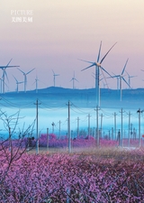青岛画报2025年4月第4期