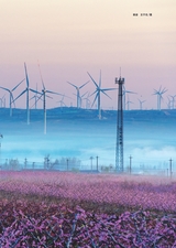 青岛画报2025年4月第4期