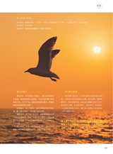 青岛画报2025年4月第4期