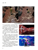 信息化视听2025年10月第5期