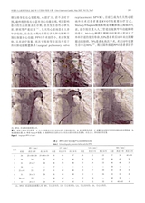中国介入心脏病学杂志2025年5月第5期
