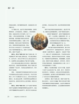 商业评论2024年3月第3期