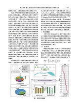 岩土工程技术2025年10月第5期